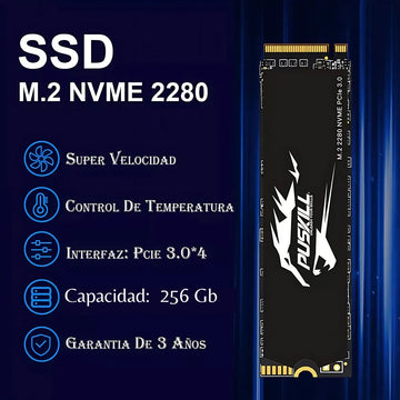 Hd Ssd M.2 2280 PUSKILL 256 GB NVMe PCIe 3.0x4 PSK-M2SSDP34-256g