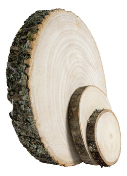 Rodaja De Madera X2 Natural 10cm 2 X Rodajas De Madera Natural De 10 Cm