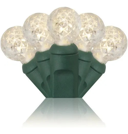 Extensión 70 Luces Navideñas Led Wintergreen Lighting 24