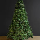 Arbol De Navidad Pino Silvestre De 2.25 Mtrs Verde