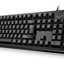 Teclado Genius KB-100 USB Negro