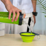 Vaso Portatil Croquetas Agua Mascotas Plato Plegable 2 En 1 Color Verde