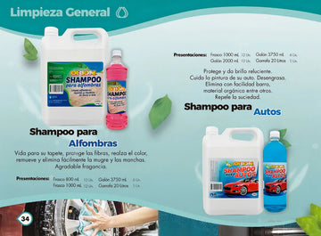 Shampoo Orion para Autos X1000ml