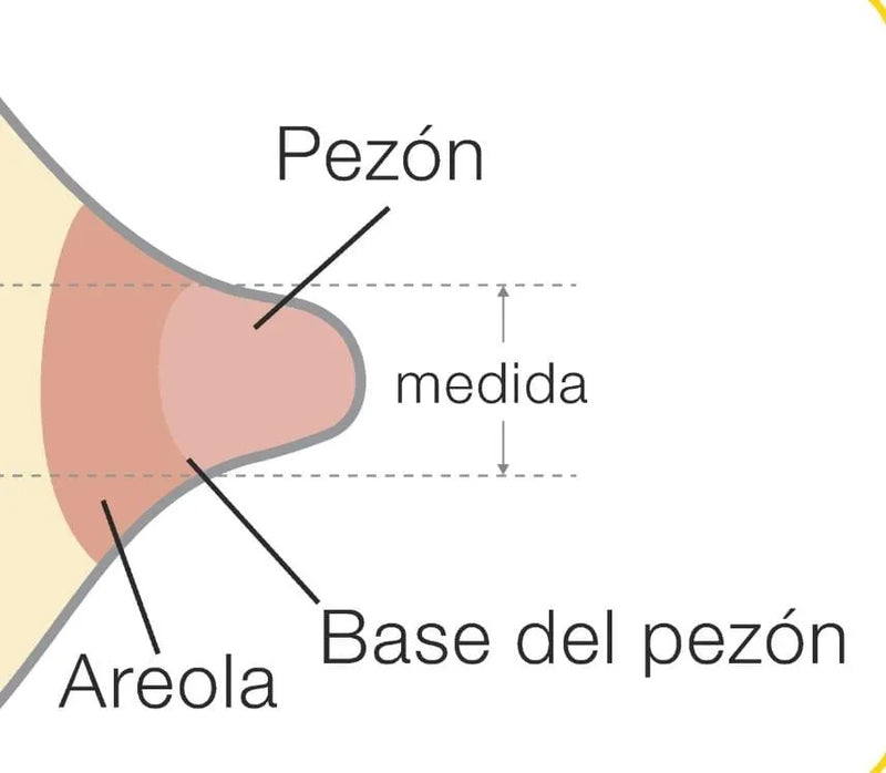 Medela Pezonera Protector 20mm 20 Mm