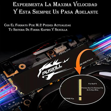 Hd Ssd M.2 2280 PUSKILL 256 GB NVMe PCIe 3.0x4 PSK-M2SSDP34-256g