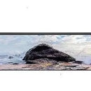 Televisor Smart Tv Xiaomi 32 L32m6-6arg Led Android P1 Hd