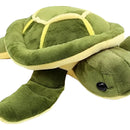 Peluche Tierna Tortuga + Chocolate Regalos Detalles Suave Verde Lima