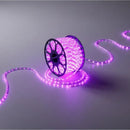 Manguera Led 3 Vias Luces Navideñas X 10mt Morada