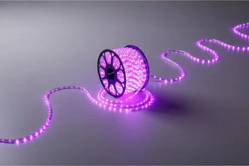 Manguera Led 3 Vias Luces Navideñas X 10mt Morada