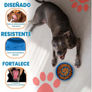 Plato Comedero Azul para Perros con Diseño Anti-Ansiedad, Goma Atóxica Antideslizante, Ideal para Comer Lento y Mejorar la Digestión de tu Mascota.
