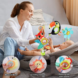 Lynncare Juguetes De Moiss De Arco Ajustable Para Bebs Y Nio