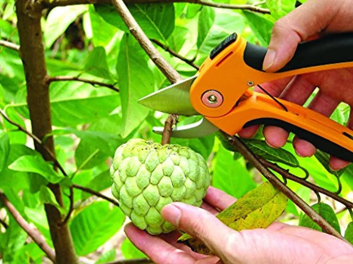 Ascend Profesional Utensilios De Jardín Bypass