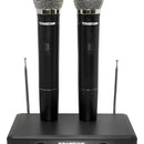Microfono Inalambrico Vhf Doble De Mano Takstar Ts2200
