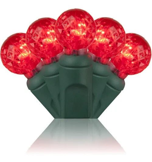 Extensión 70 Luces Navideñas Led Wintergreen Lighting 24