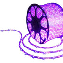 Manguera Led 3 Vias Luces Navideñas X 10mt Morada