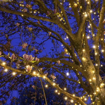 Extensión 50 Mini Luces Navideñas Led Kringle Traditions