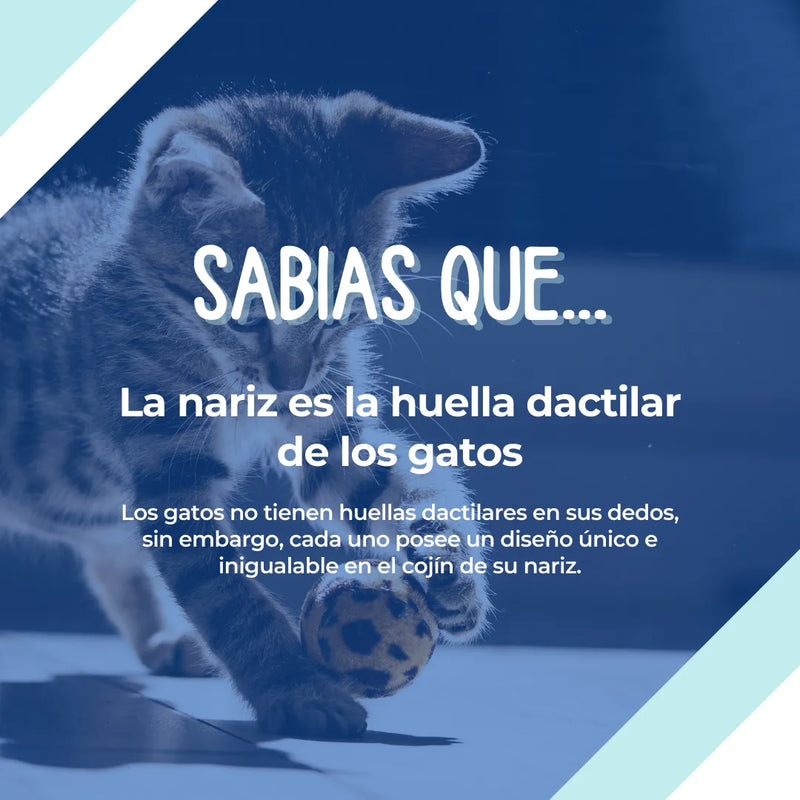 Arena Para Gatos 10k Talco Bebe
