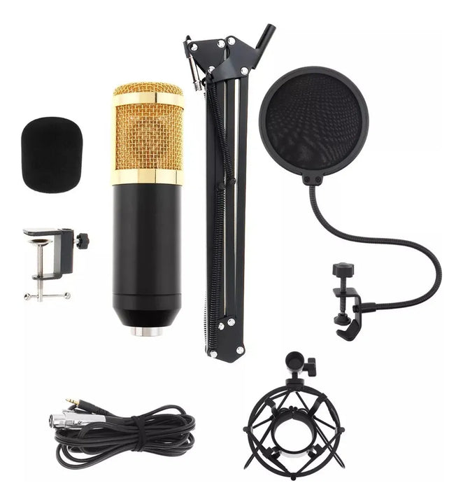 Microfono Condensador Semiprofesional