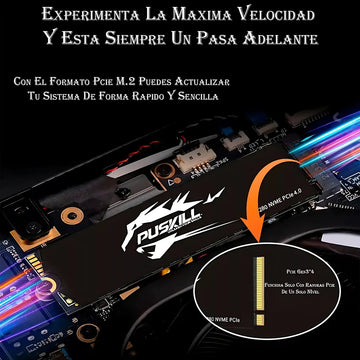 interno Puskill Puskill SSD PSK-M2SSDP34-1024G 1TB negro