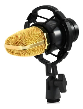 Micrófono de condensador profesional Studio 20hz-20khz de 3,5 mm