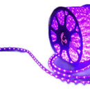 Manguera Led 3 Vias Luces Navideñas X 10mt Morada