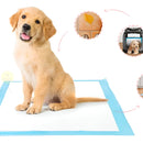 Pañales Entrenadores Para Perro Pads Desechables Mascotas Azul