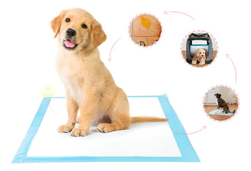 Pañales Entrenadores Para Perro Pads Desechables Mascotas Azul