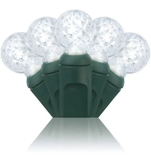 Extensión 70 Luces Navideñas Led Wintergreen Lighting 24