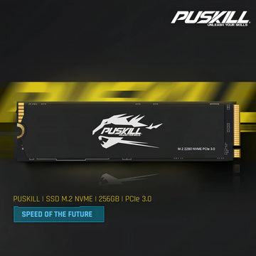 Hd Ssd M.2 2280 PUSKILL 256 GB NVMe PCIe 3.0x4 PSK-M2SSDP34-256g