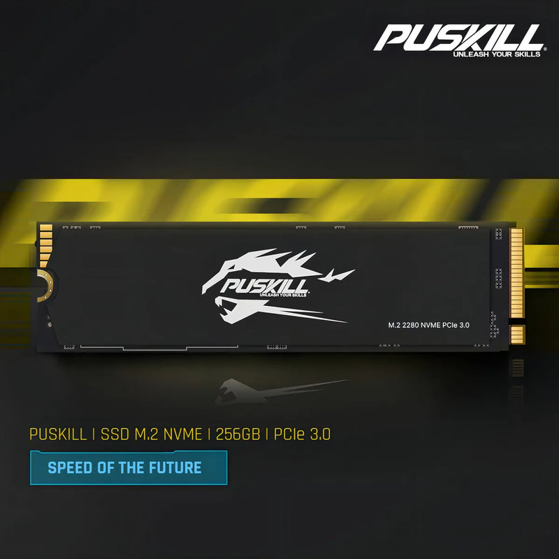 Hd Ssd M.2 2280 PUSKILL 256 GB NVMe PCIe 3.0x4 PSK-M2SSDP34-256g