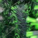 Arbol De Navidad Tipo Eco Punta Verde 210cm Incluye100luces. Verde Oscuro