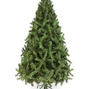 Árbol De Navidad, Pino Colorado De 2 Metros. Verde