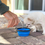 Plato De Goma Plegable Portátil De Mascotas Perro Y Gato Color Azul