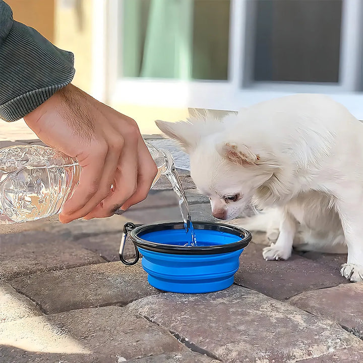 Plato De Goma Plegable Portátil De Mascotas Perro Y Gato Color Azul