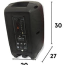 Parlante Cabina De Sonido Profesional Bt + Microfono 6.5' Negro
