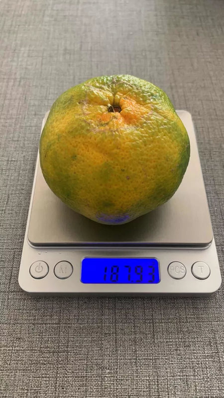 Pesa Bascula Gramera Digital Balanza 500g