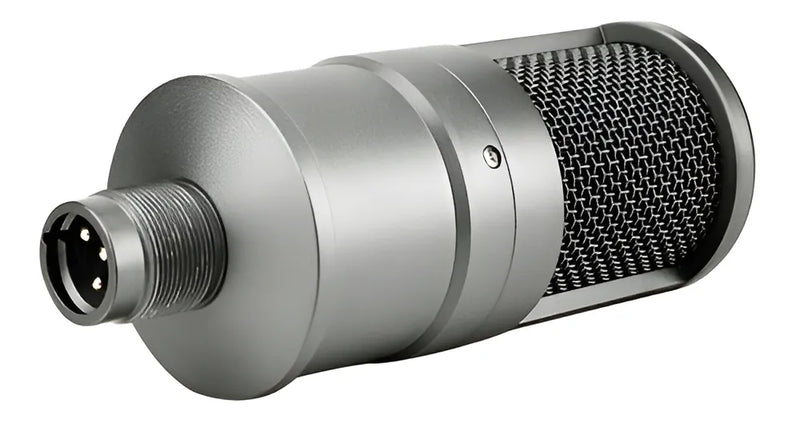 Microfono Para Grabacion Estudio Electro Takstar Sm-8b Color Gris