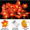 Extensión 20 Luces Navideñas Led Esho 3 Metros