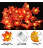 Extensión 20 Luces Navideñas Led Esho 3 Metros