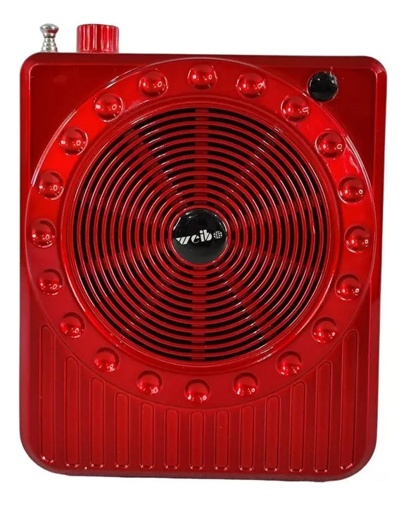 Parlante Portátil Micrófono Amplificador Bluetooth Radio Sd