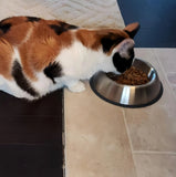 Plato Comedero Gato / Perro Acero Inox. 12.5 Cmts Diametro Color Plata