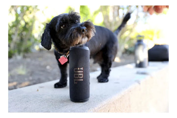 Parlante JBL Flip 6 JBLFLIP6BLKAM portátil con bluetooth waterproof negra