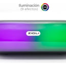 Parlante Bluetooth 10w Zidli - D2 Negro