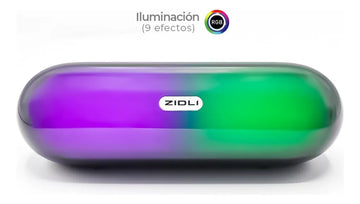 Parlante Bluetooth 10w Zidli - D2 Negro