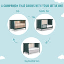 Dream On Me Cuna Moderna Isla 4 En 1 Clover Con Husillos Re. Color Negro