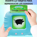 Lector Tarjetas Interactivas Educación Temprana Español-ingl Azul, Rosa