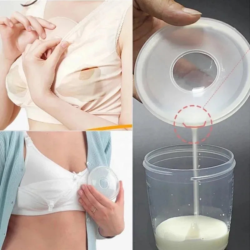 Conchas Recolectoras De Leche Maternas Baby On