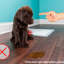 Pañales Entrenadores Para Perro Pads Desechables Mascotas Azul