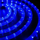 Extensión Luces Navideñas Led West Ivory 10 Pies Color