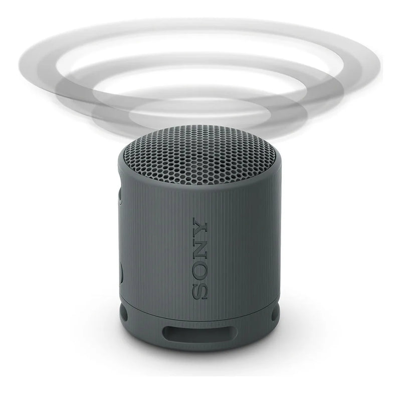 Parlante Sony Portátil Extra Bass Con Bluetooth Srs-xb100 Color Negro 5